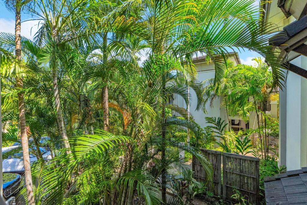 Luxury Port Douglas Beachside 3 Bedroom Sea Temple Apartment With Private Roof Terrace Eksteriør billede